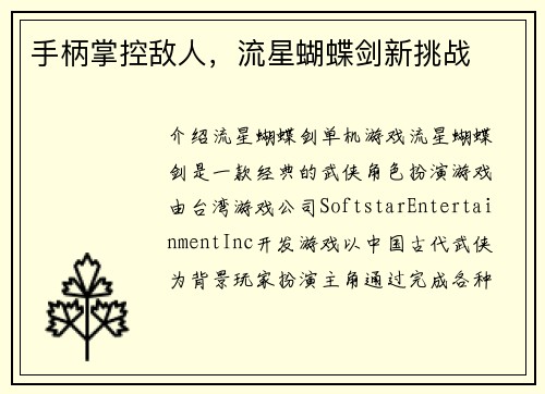 手柄掌控敌人，流星蝴蝶剑新挑战